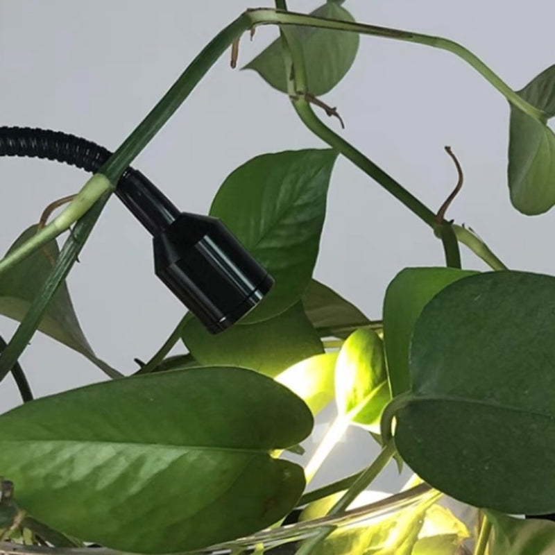 NABA - Luminaire Suspendu Moderne Noir/Métal/Verre